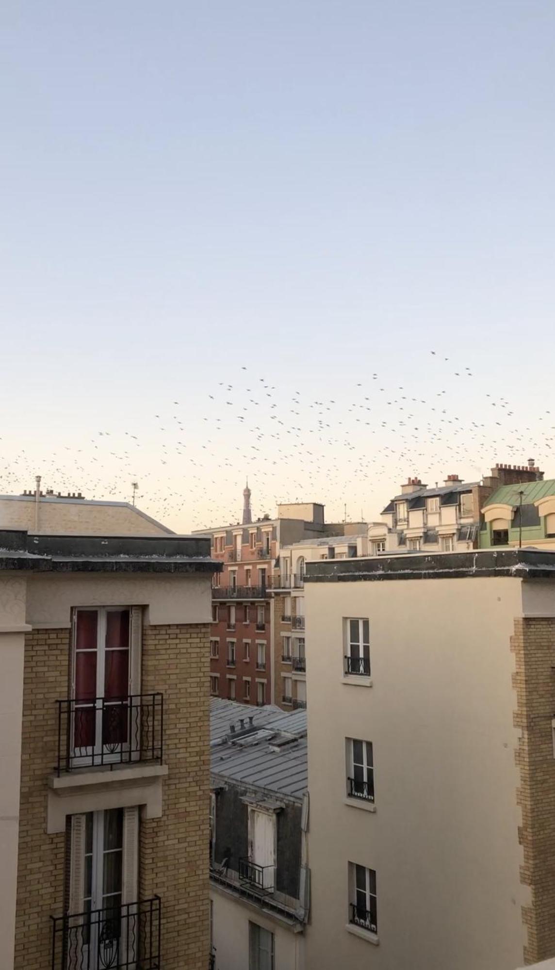 Parisien Vue Sur Tour Eiffel Apartment Paris